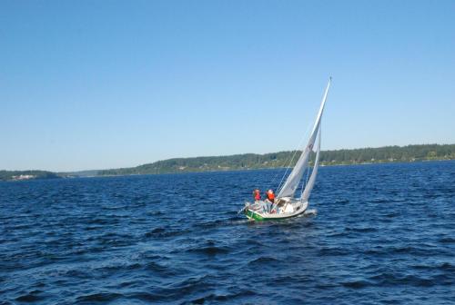 sailing-4.jpg
